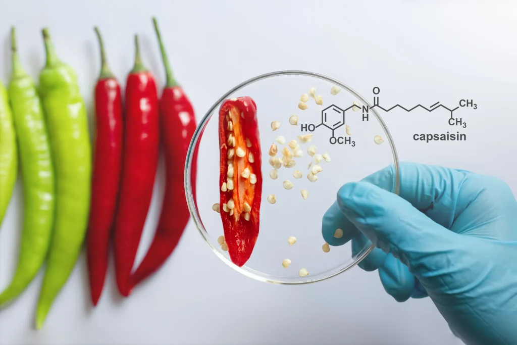 Health Benefits of Pepper Jelly: Surprising Nutritional Advantages Revealed